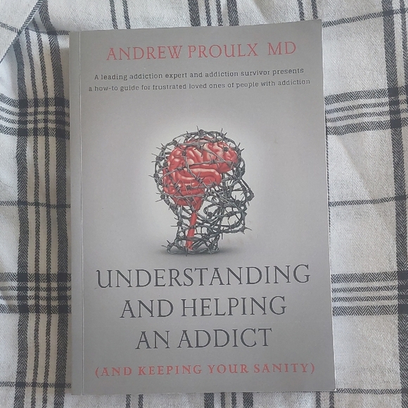 Understanding and Helping an Addict Book - Picture 1 of 2